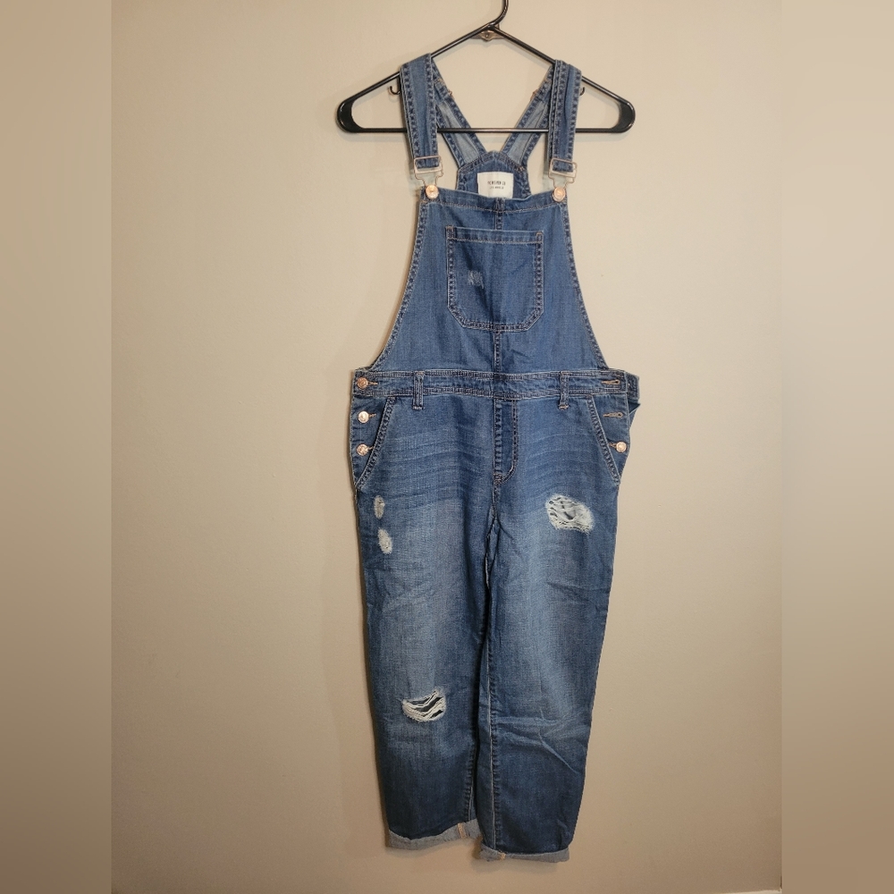 Denim overalls